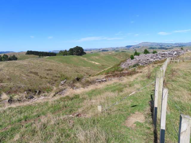 210 Mangamaire Road Dannevirke_4