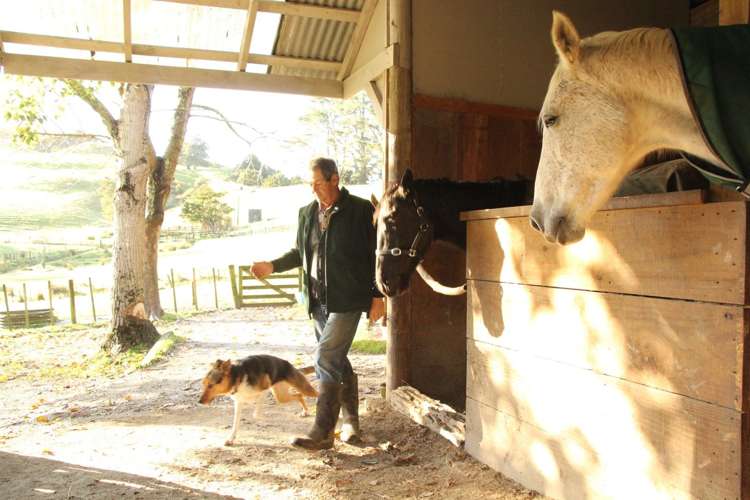 40 Linton Road Kaipara Flats_9