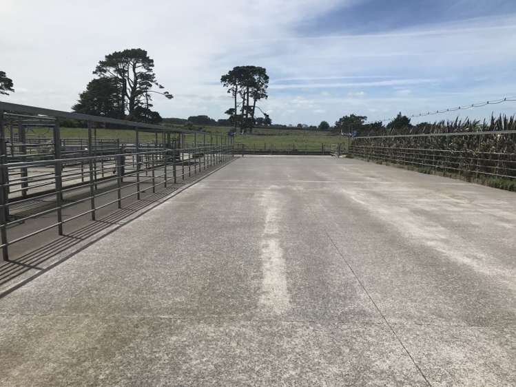 1703 Eltham Road Riverlea_3