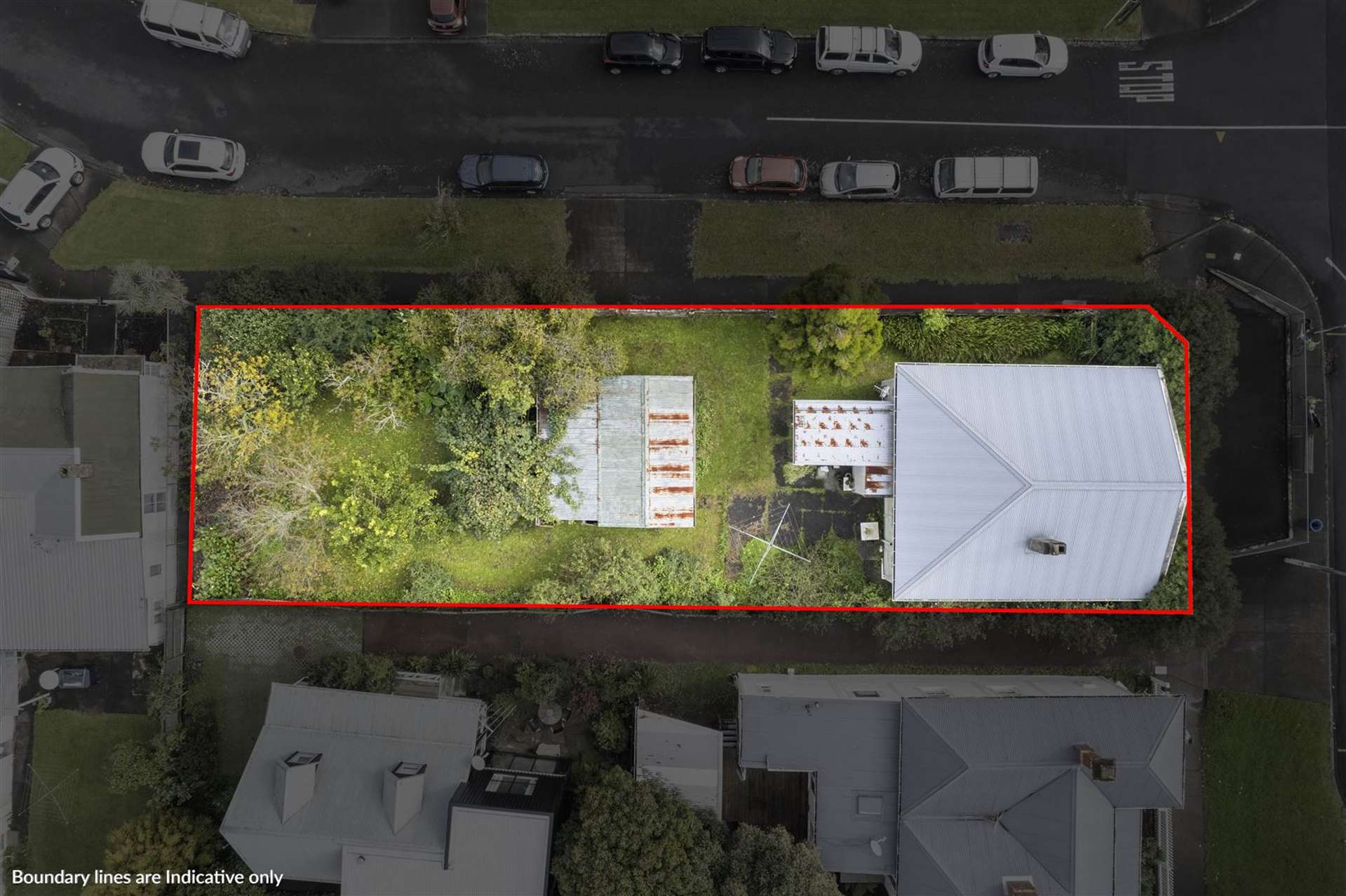 224 Richmond Road Grey Lynn_0