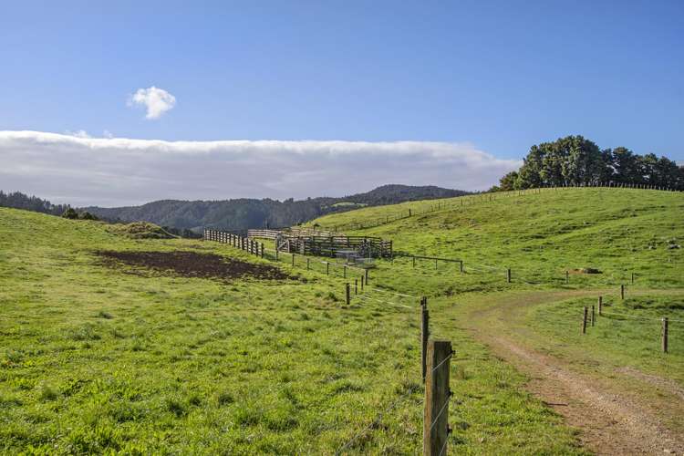 Russell Road Airstrip Block Whakapara_18