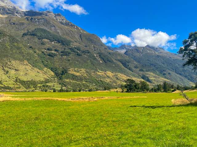 Dart River Island Glenorchy_2