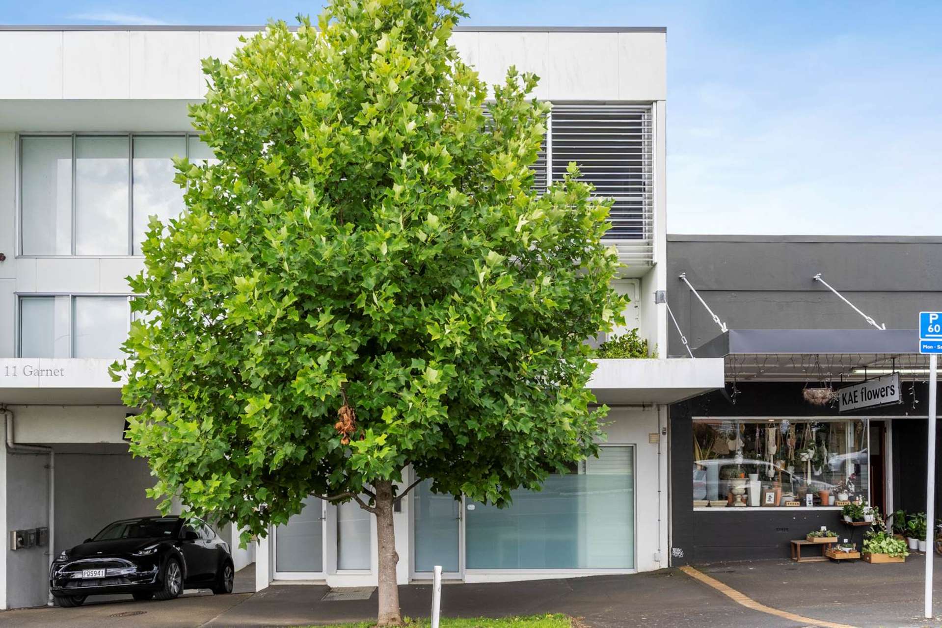 11a Road Westmere Auckland City Houses for Sale One Roof