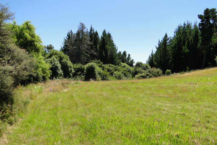 99 Dawson Road Upper Moutere_12