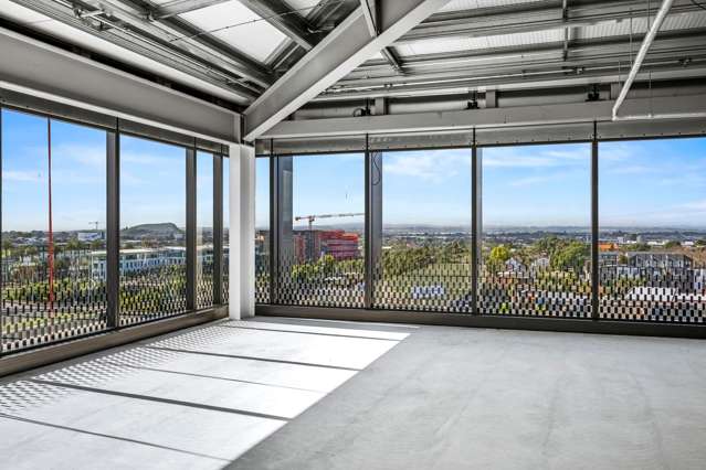 9 Marewa Road Greenlane_2