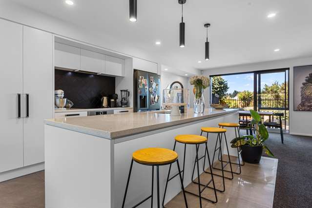 Luxury Executive Living