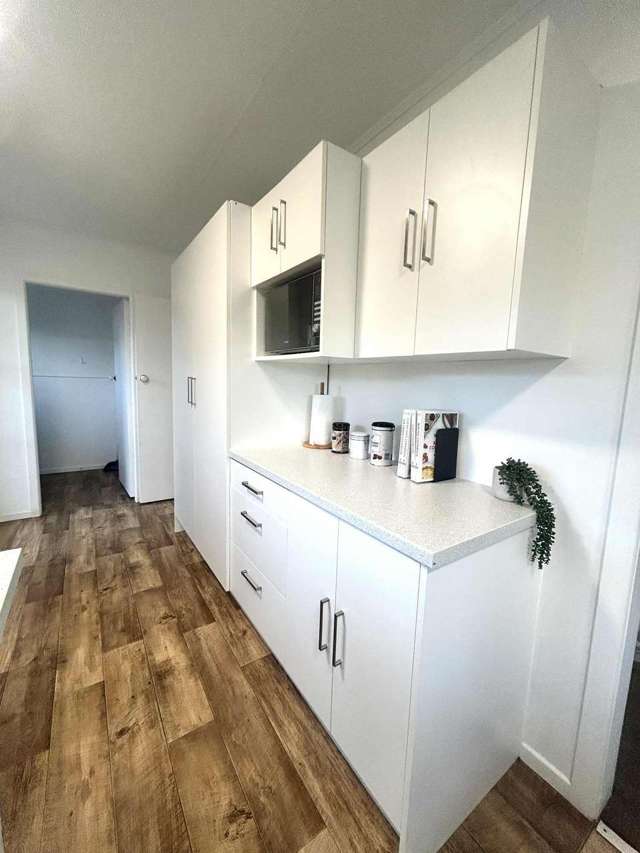 11 Leong Avenue Dinsdale_1