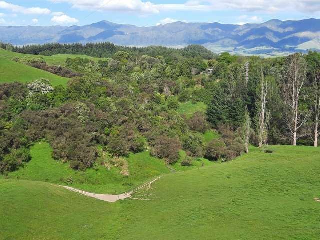 Lot 7, 560 Finnis Road Pohangina_4