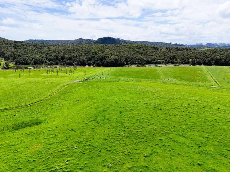 Lot 3 Pukehuia Road Arapohue_14