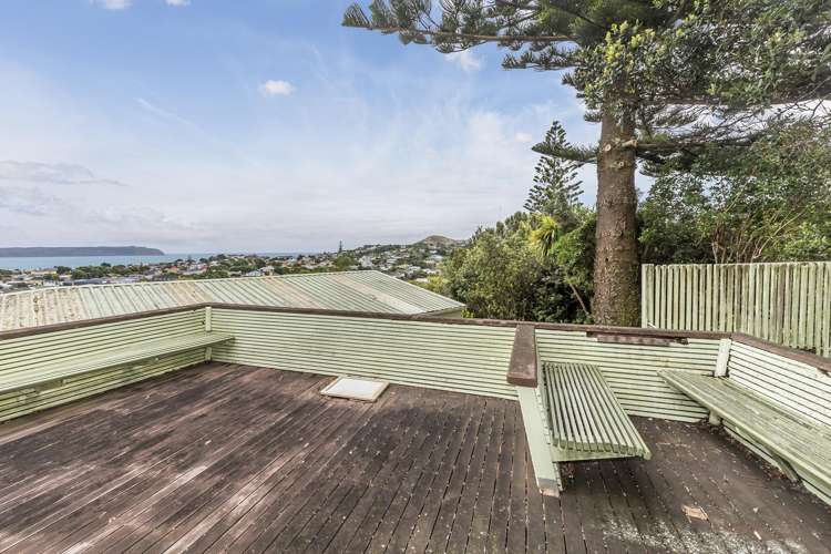 15 Spur Grove Titahi Bay_19