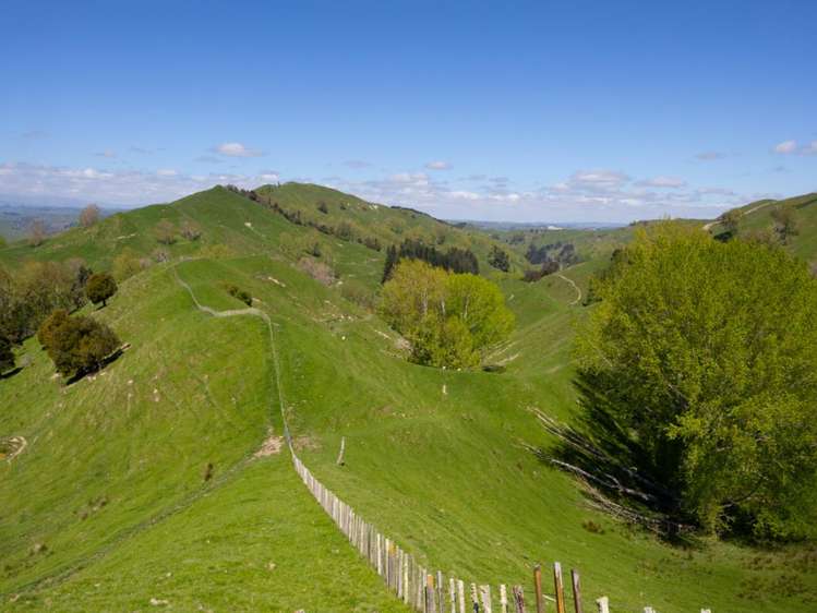 6900 State Highway 1 Mangaweka_31