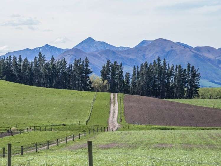 230 Taruna Road Hawarden_18