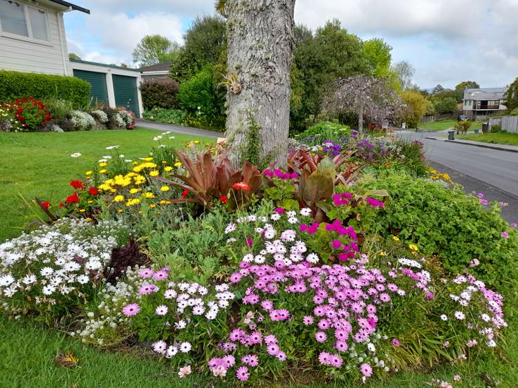 1 Dallow Place Henderson_22