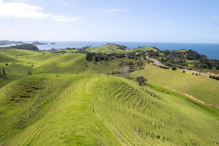 Lot 1 Rockell Road Whananaki_23