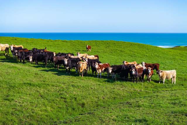 792 Omamari Road Dargaville_3