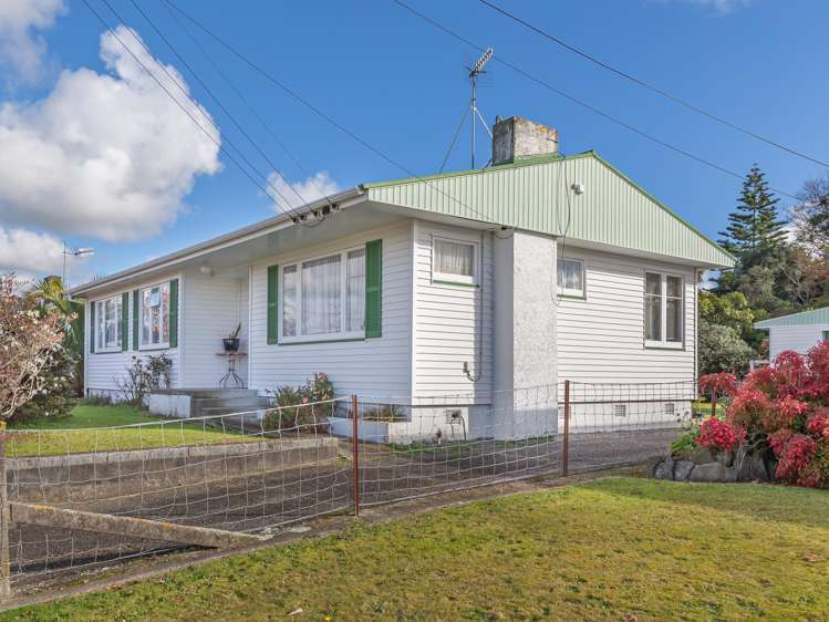 19 Green Avenue Levin_12