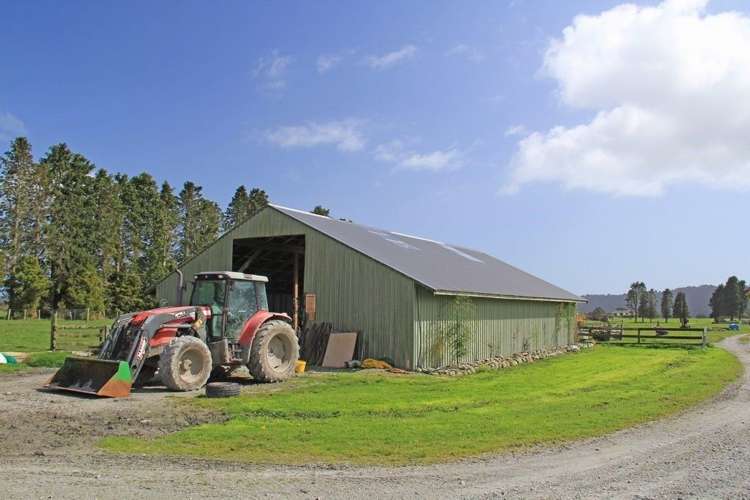 Waiho Flat Road Franz Josef Glacier_12