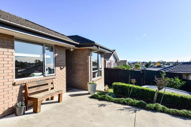 138a Ellicott Road Nawton_4