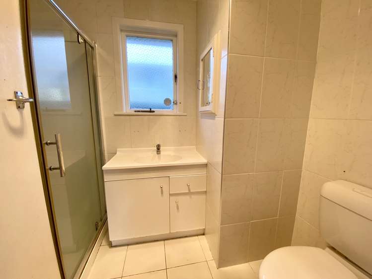 104 Webster Avenue Mount Roskill_7