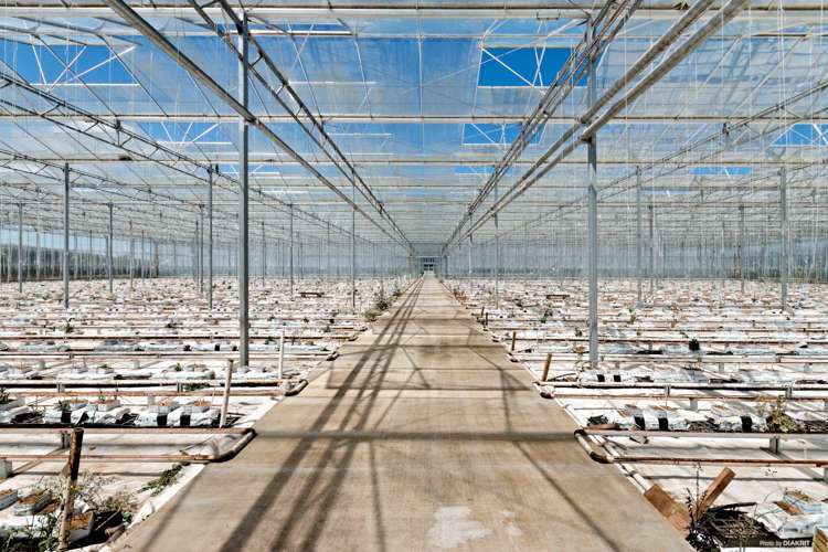 377 Mercer Ferry Road Mercer_5