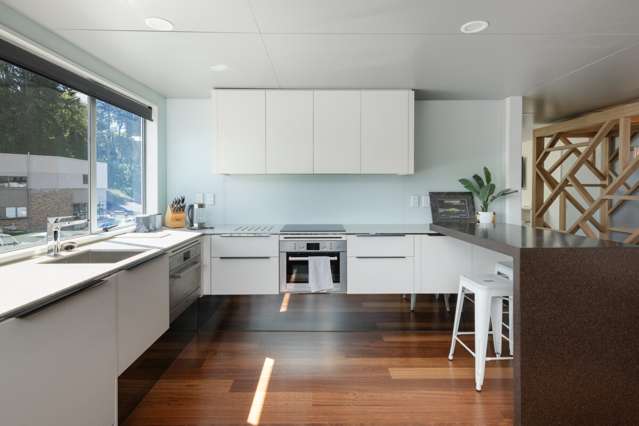 102 Birch Avenue Judea_3
