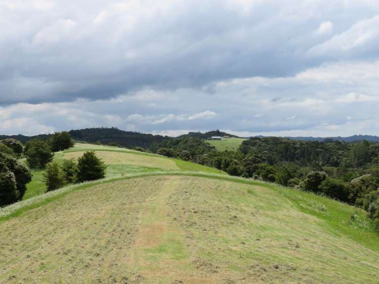 Pataua North Road Pataua_24