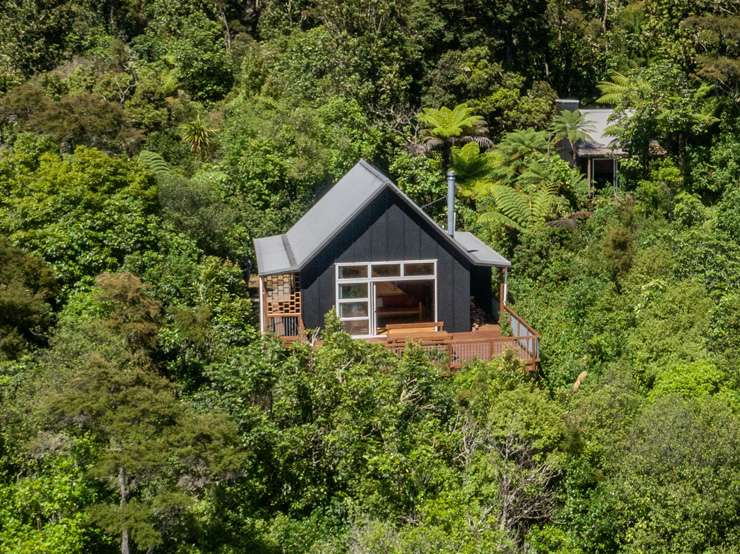 A 14sqm one-bedroom home on a 3622sqm section for sale at 2A Maude Street, in Oamaru, Waitaki. Photo / Supplied