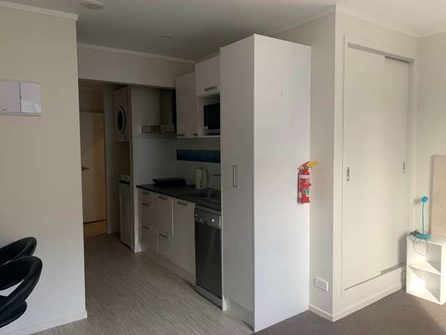 1/9a Neville Street Warkworth_4