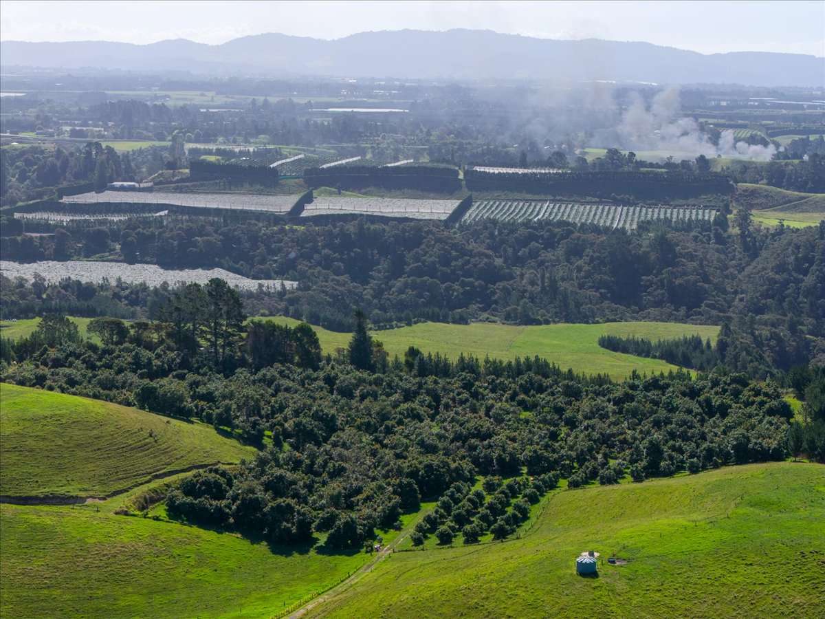 720 State Highway 33_2