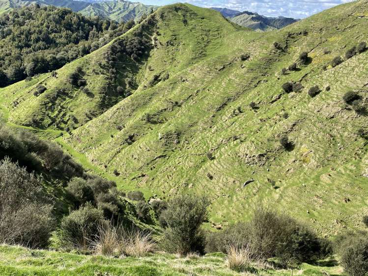 166 Saddler Road Ruapehu_23