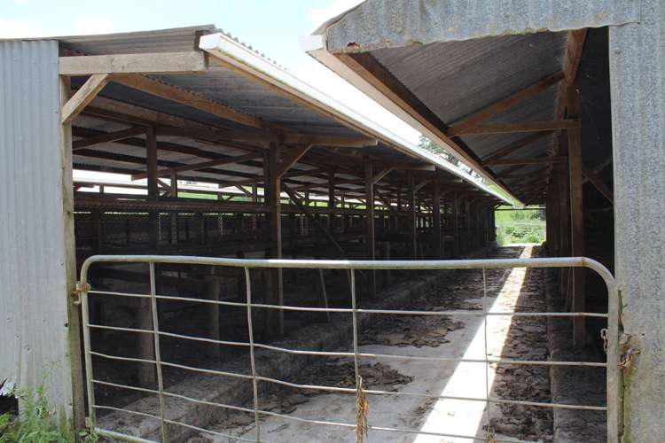 269 Kokopu Block Road Kokopu_10