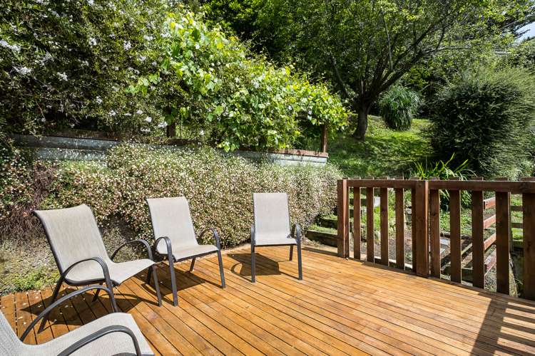 488 North Road Normanby_15