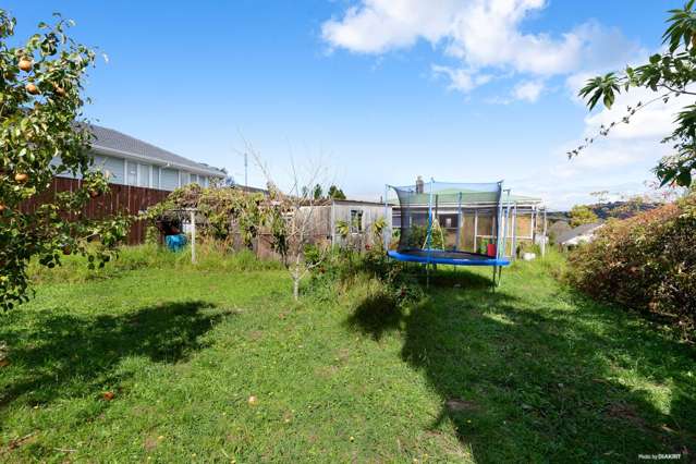 53 Routley Drive Glen Eden_1