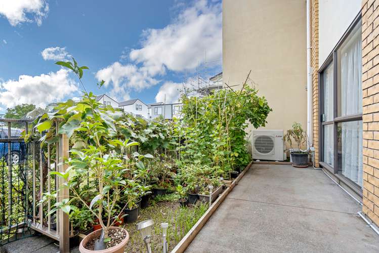 29 Triumph Road Flat Bush_23