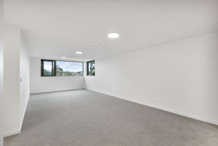 2F/20 Morning Start Place Mt Albert_19