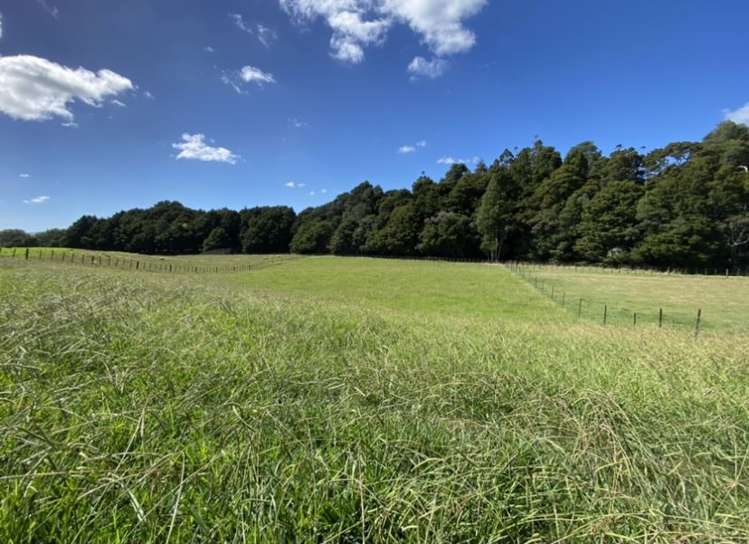 277 Valley Road Kaiwaka_17