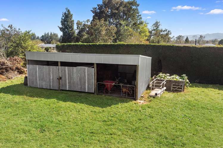 27 Gordon Avenue Te Aroha_20