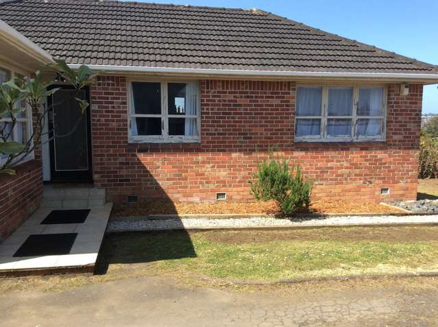 10 Andrew Road Howick_1