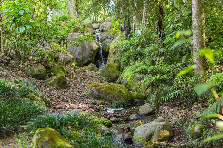 89 Lea Grove Levin_23