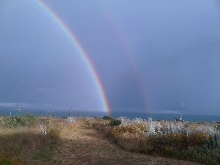 222 Rarangi Beach Road Rarangi_15