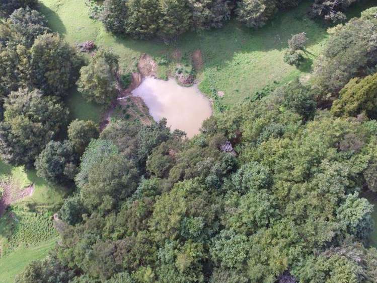 163 Mcalister Road Mangapai and Surrounds_15