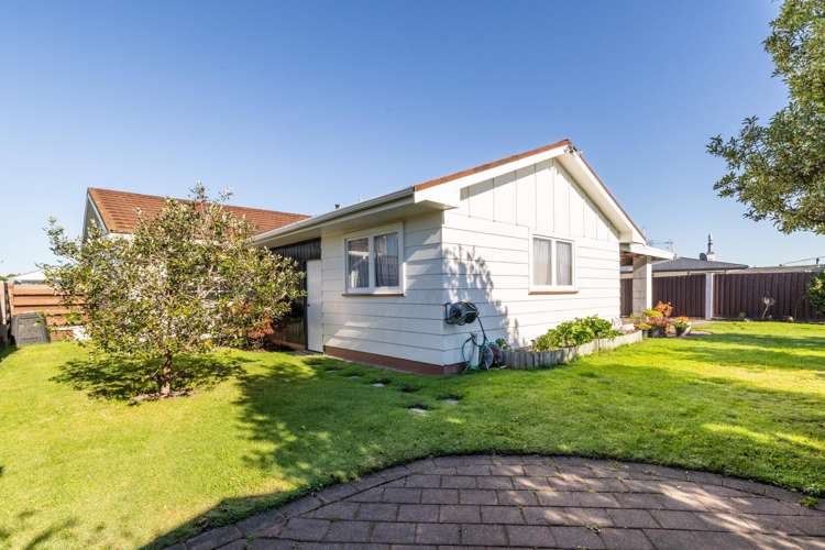 4 Plunket Street Tamatea_12