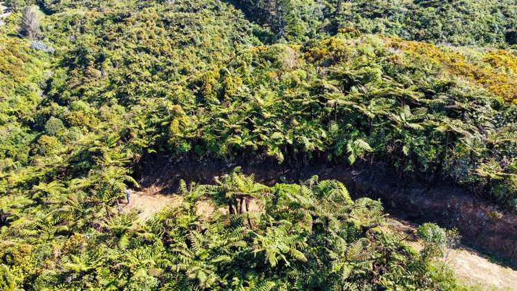 107 Sweetacres Drive Belmont_5