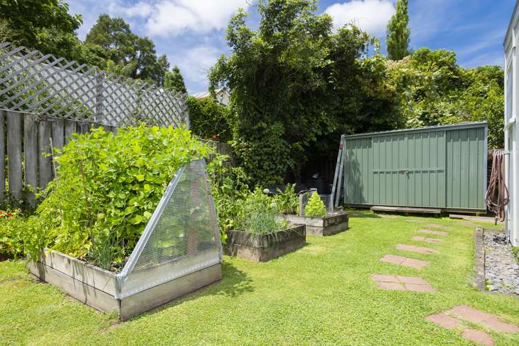 361 Clifford Street Mangapapa_15