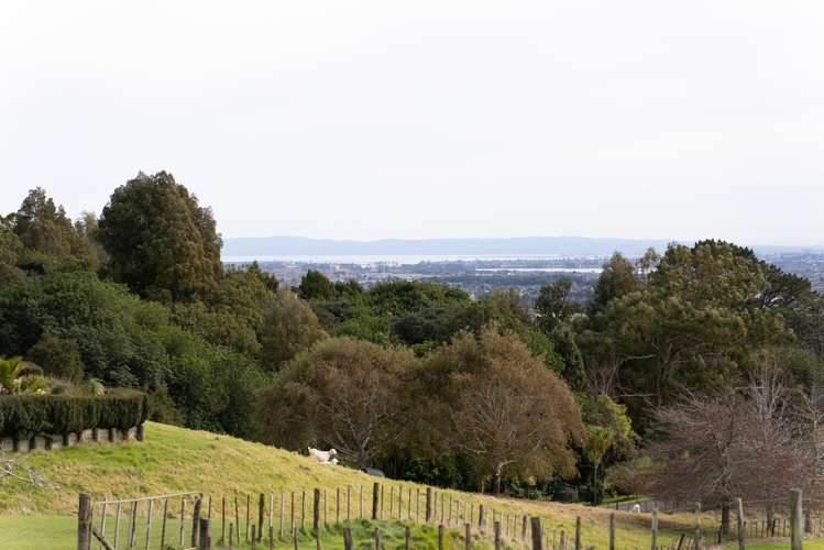 528 Ponga Road Opaheke_53