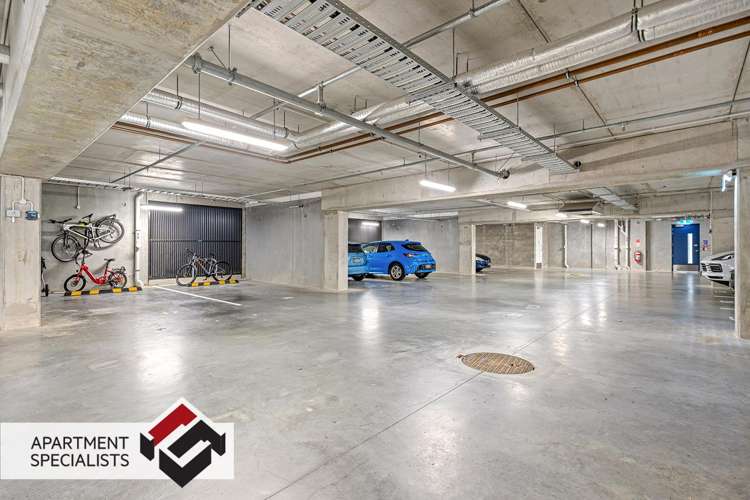 1817B Great North Road Avondale_15