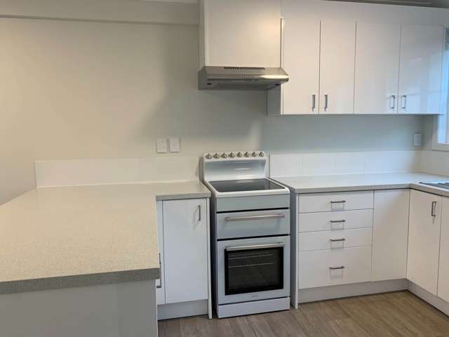 3/850a Manukau Road Royal Oak_2