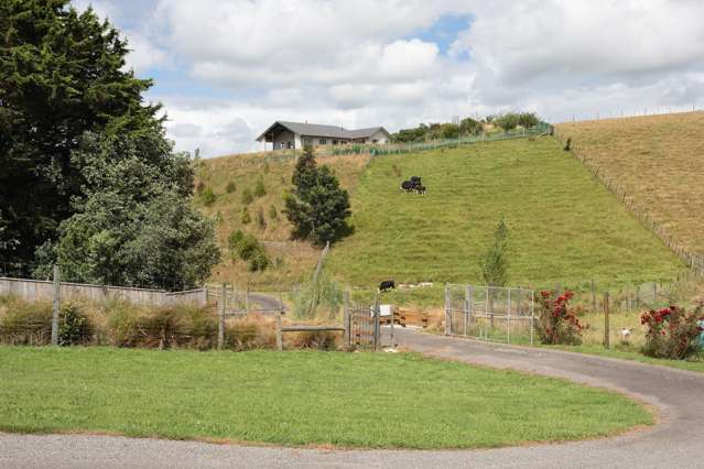 28 Homelands Avenue Feilding_3