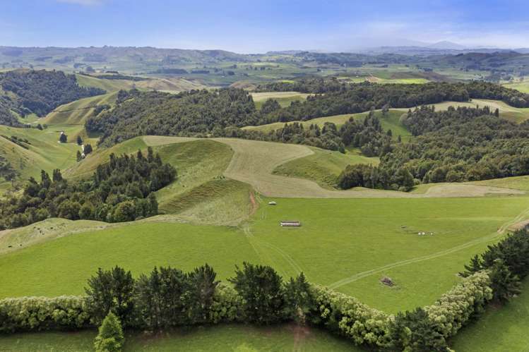 134 Millard Road Maihiihi_6