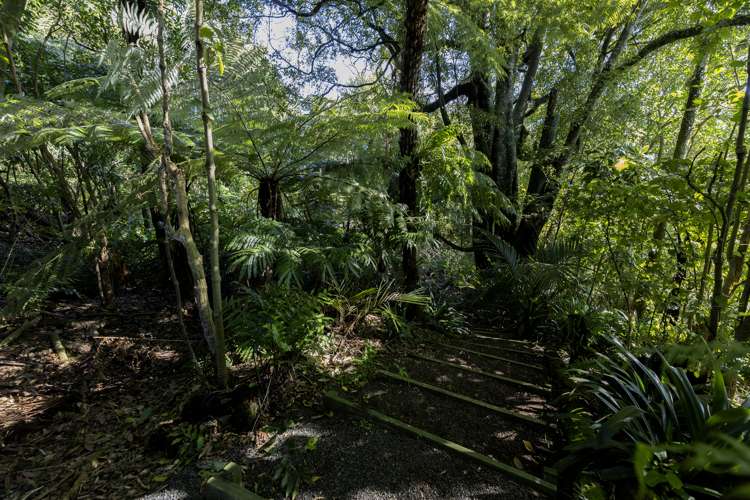 34 Lower King Road Tarurutangi_39